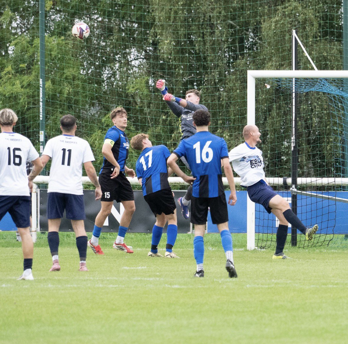 melbournedynamo's tweet photo. Unbeaten in 5 😤

 ⚽️ 16 goals scored 
🦊 5 goals conceded 
🏆 into the hat for 2 cups 

Some run this Dynamos 🔵⚫️ https://t.co/dRhQTNyZNr