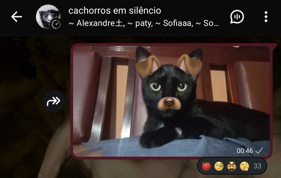 freakyduchic's tweet photo. aconteceu o mesmo comigo https://t.co/yPvQdSdIZu