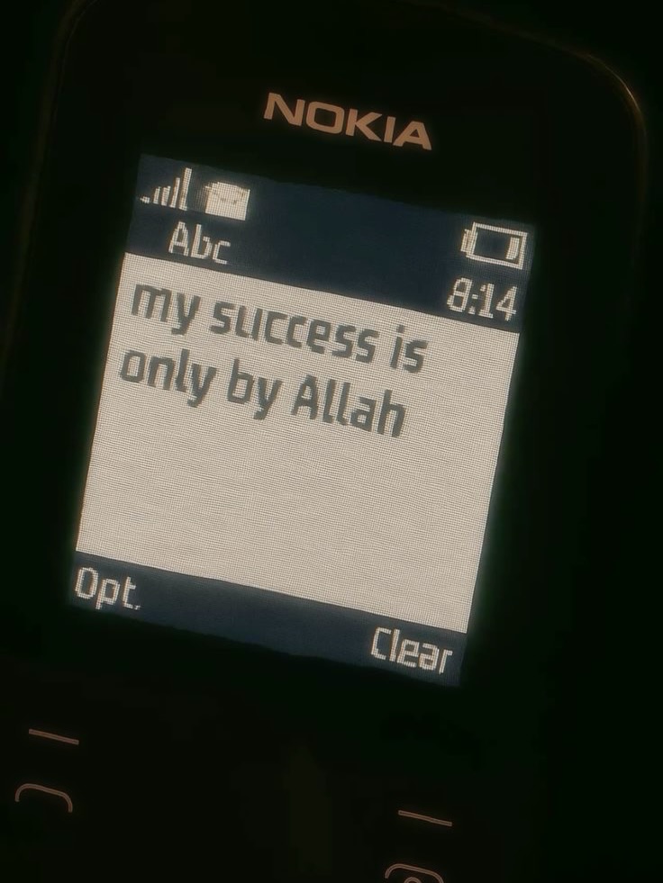 Muslim's tweet photo. never forget that success is only by Allah ﷻ 🫂🩵 https://t.co/3oK7p62fzl