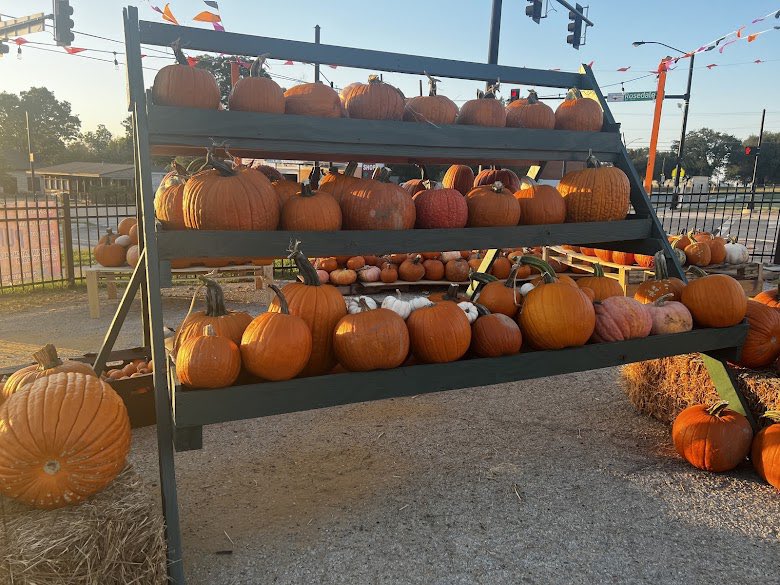 tx_hector967's tweet photo. Pumpkin Patch Festival Fort Worth Texas https://t.co/Il70QSbd5Q