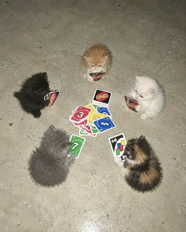 SilkDev1's tweet photo. Card game with some friends : @GoldRobot2
@Toukumi_ @sunnyforestry @0KiFGC https://t.co/uhn5QjXtPW