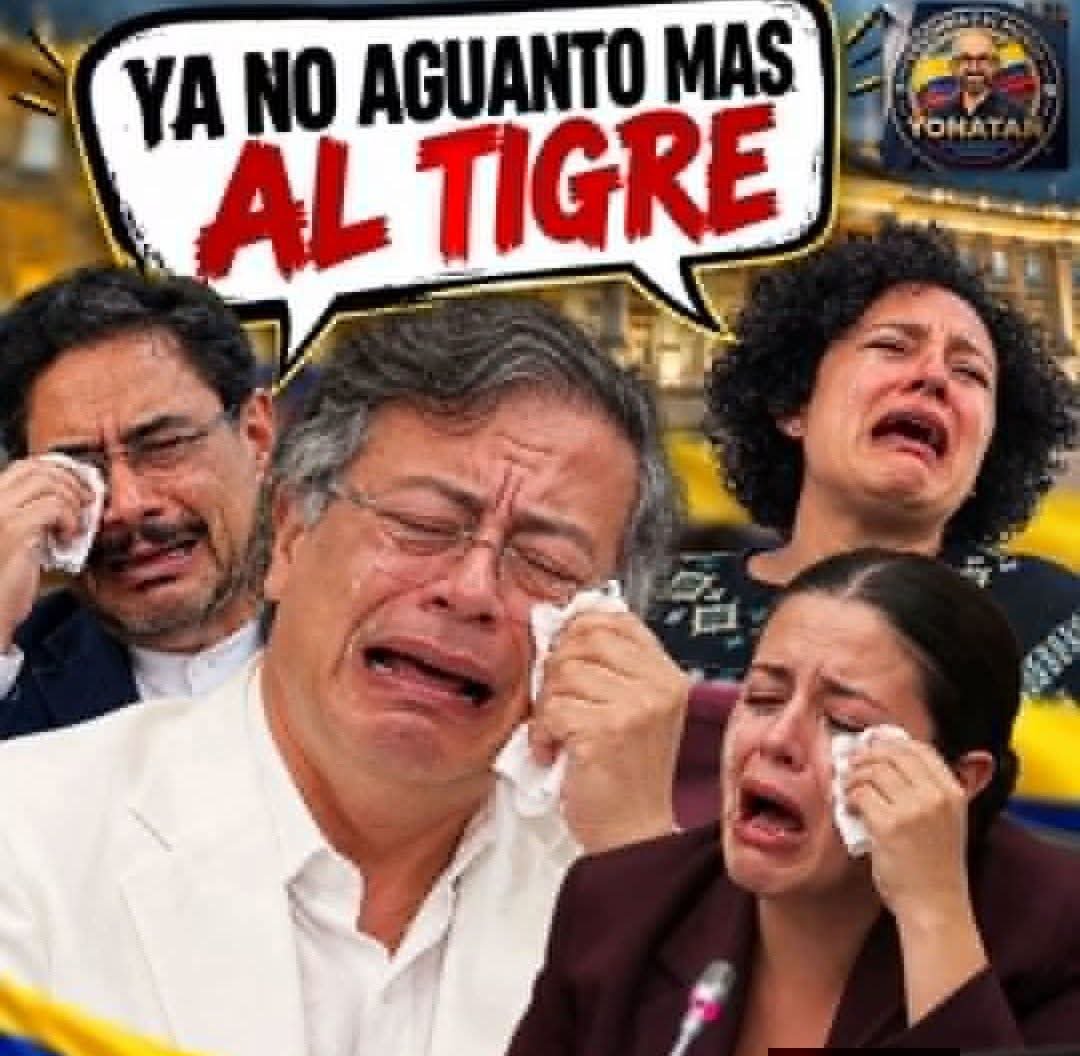 YAMILETHJARA5's tweet photo. @nilsonagu https://t.co/8UGKum6BF9