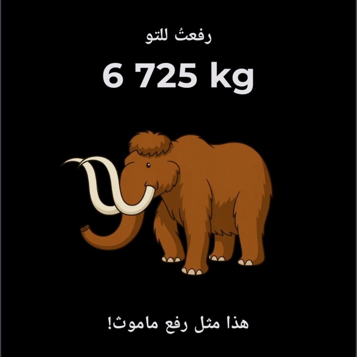 _Nan16's tweet photo. يوم سبت نشيط 
لفلفت بريده "ريستوك للمقاضي- موعد لقطوتي"
تمرين ارجل مع مستجدة نادي 
10,000 خطوه 
اذا ما نمت 8 ساعات بفجر الكوكب https://t.co/LLKD1F1qfc