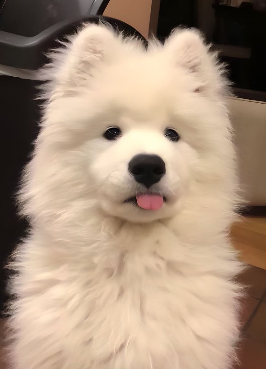 nojamismine's tweet photo. น่อ55555555555555555555555555555555555 https://t.co/noGhj7RRXZ