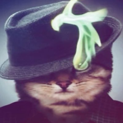 partyslasher_'s tweet photo. #NewProfilePic https://t.co/q0CdxVqUJS