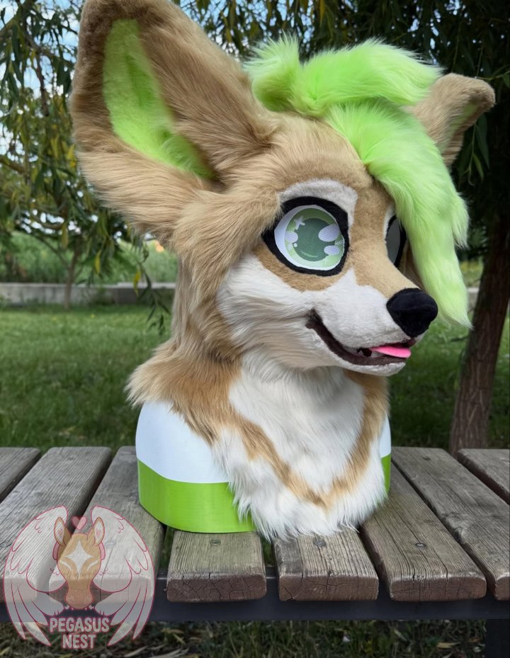 pegasusnest's tweet photo. Meet this adorable custom Fennec Fox!

A unique custom made fursuit head featuring soft sandytan fur creamy white markings oversized expressive ears and a vibrant neon-green tuft that gives this character a bold personality

#FennecFox #Fursuit #FoxFursuit #FursuitHead #Fursuit https://t.co/DMBeTO1NMD