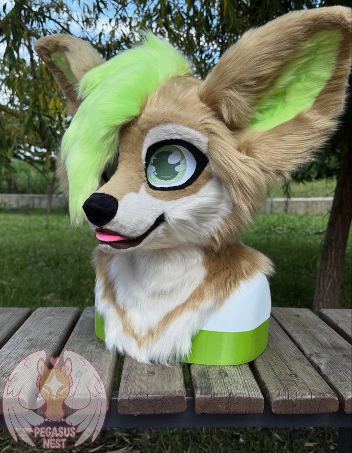pegasusnest's tweet photo. Meet this adorable custom Fennec Fox!

A unique custom made fursuit head featuring soft sandytan fur creamy white markings oversized expressive ears and a vibrant neon-green tuft that gives this character a bold personality

#FennecFox #Fursuit #FoxFursuit #FursuitHead #Fursuit https://t.co/DMBeTO1NMD