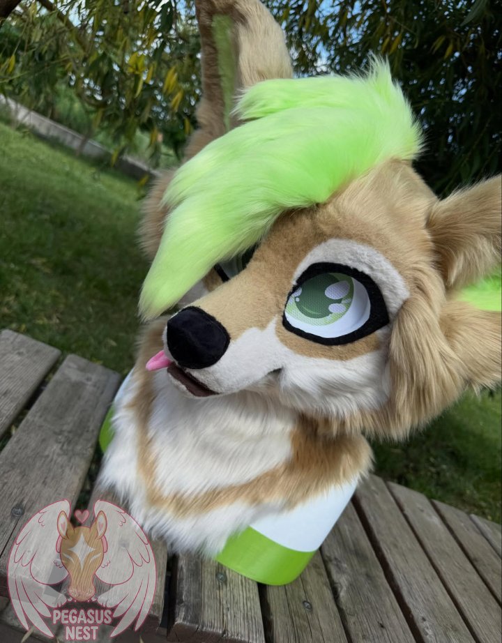 pegasusnest's tweet photo. Meet this adorable custom Fennec Fox!

A unique custom made fursuit head featuring soft sandytan fur creamy white markings oversized expressive ears and a vibrant neon-green tuft that gives this character a bold personality

#FennecFox #Fursuit #FoxFursuit #FursuitHead #Fursuit https://t.co/DMBeTO1NMD