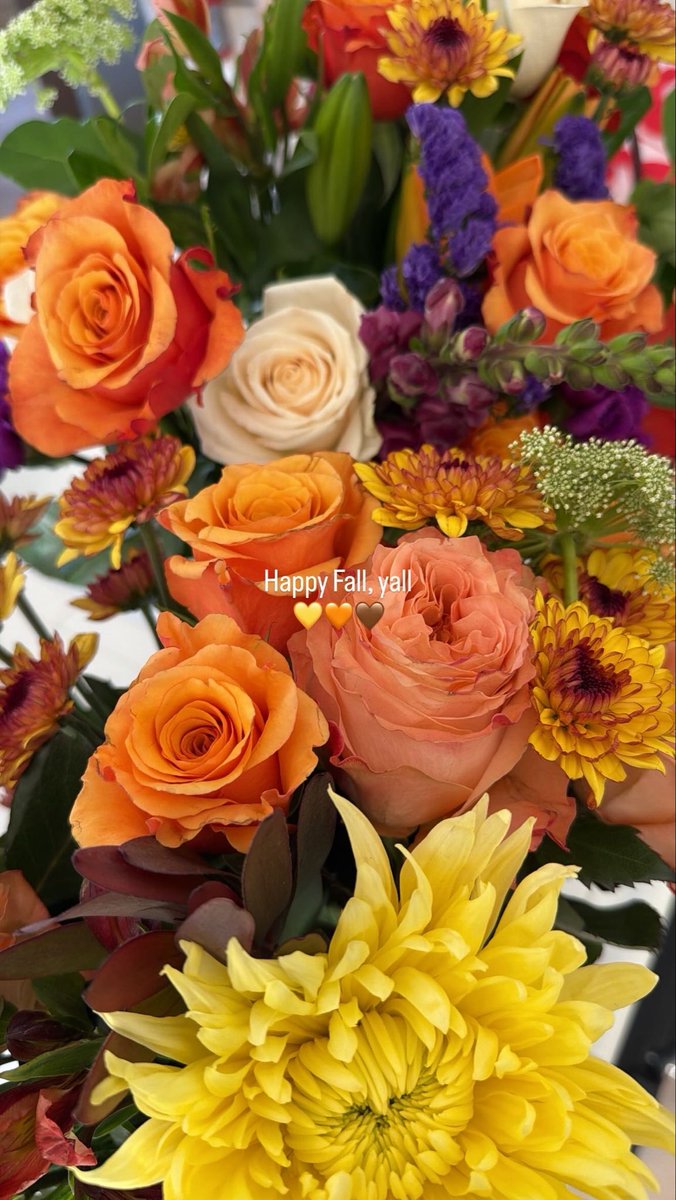 __TayLaray__'s tweet photo. 💛🧡🤎 https://t.co/xA9dmRVfut