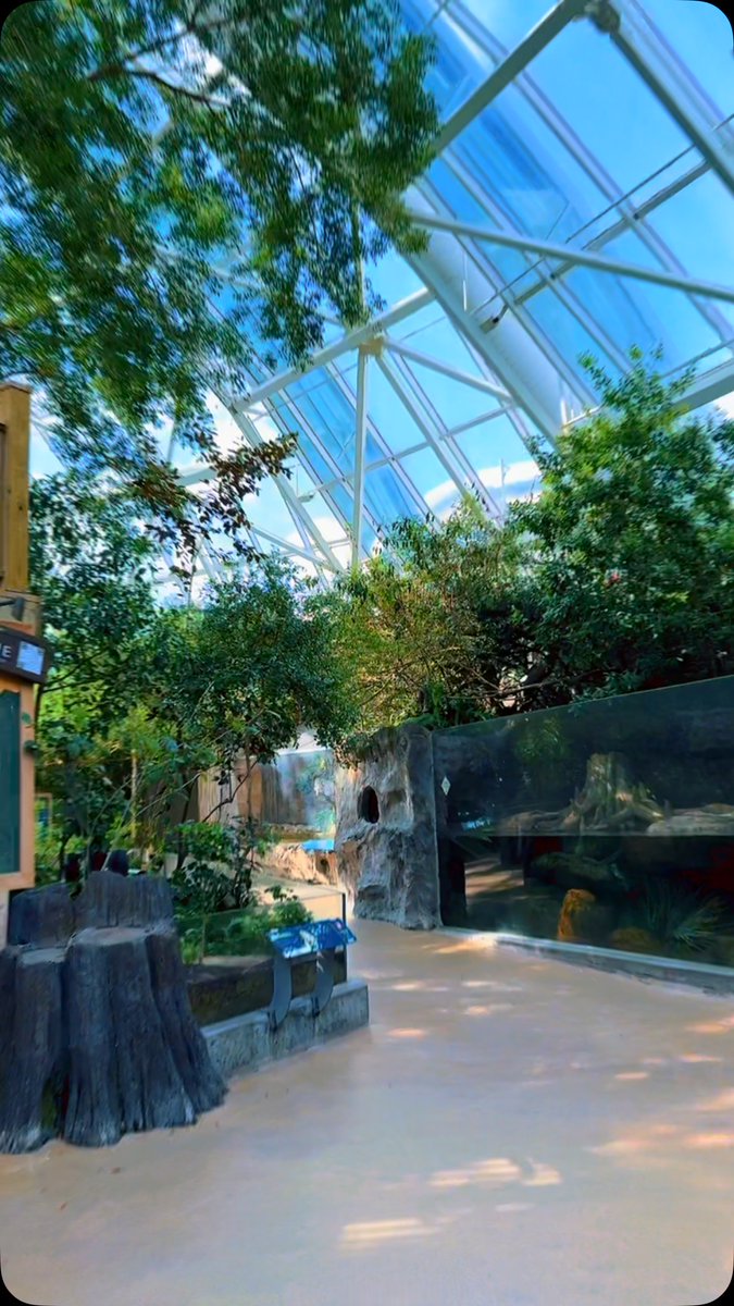 ViviSheido's tweet photo. Aquarium Adventures in Tampa, Florida. https://t.co/UTdL1RFyTp