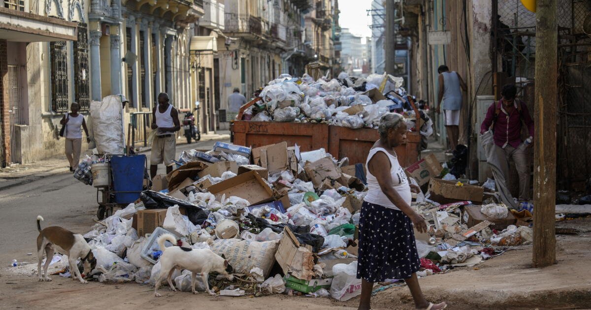 uncubanodeapie's tweet photo. @L0renaGM Los médicos fuera del país son usados como mano de obra esclava, les pagan 20% o menos del salario real. 
Y nosotros llenos de basura y los hospitales llenos de dengue, leptospirosis. 
Tus líderes y tu revolución son = a fracaso. 
#CubaEsUnEstadoFallido https://t.co/TcfidoB2ft