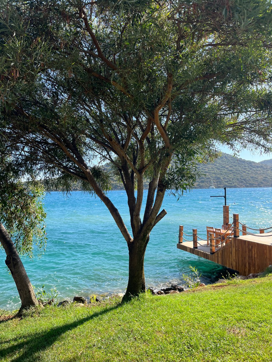 Ssevval_i's tweet photo. Kaş’ın her karesi kartpostal gibi. dünyanın en güzel yeri mi bilmiyorum ama gördüğüm en güzel yer https://t.co/4bf1H2JxC0