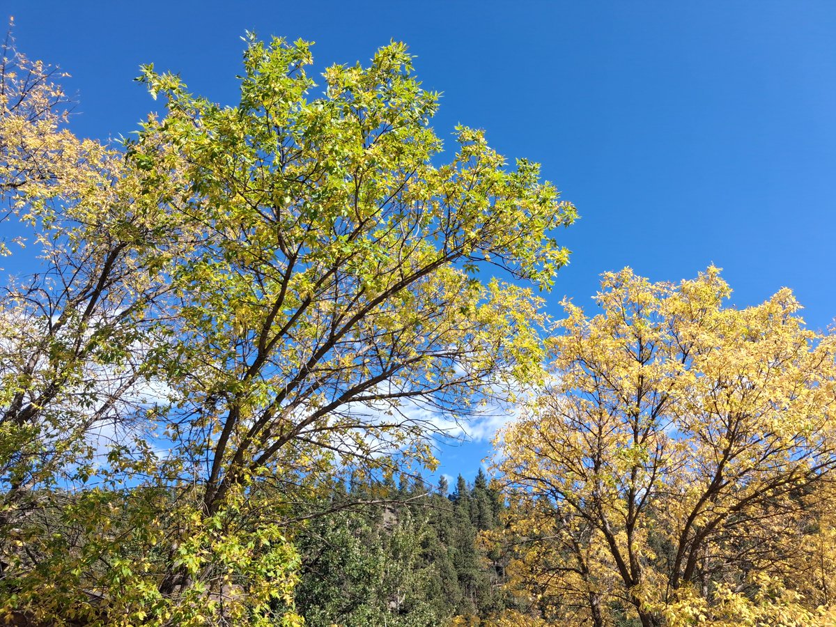 ChrisBarlo5s2f's tweet photo. Beautiful view out earlier! https://t.co/kxcrgruPL3