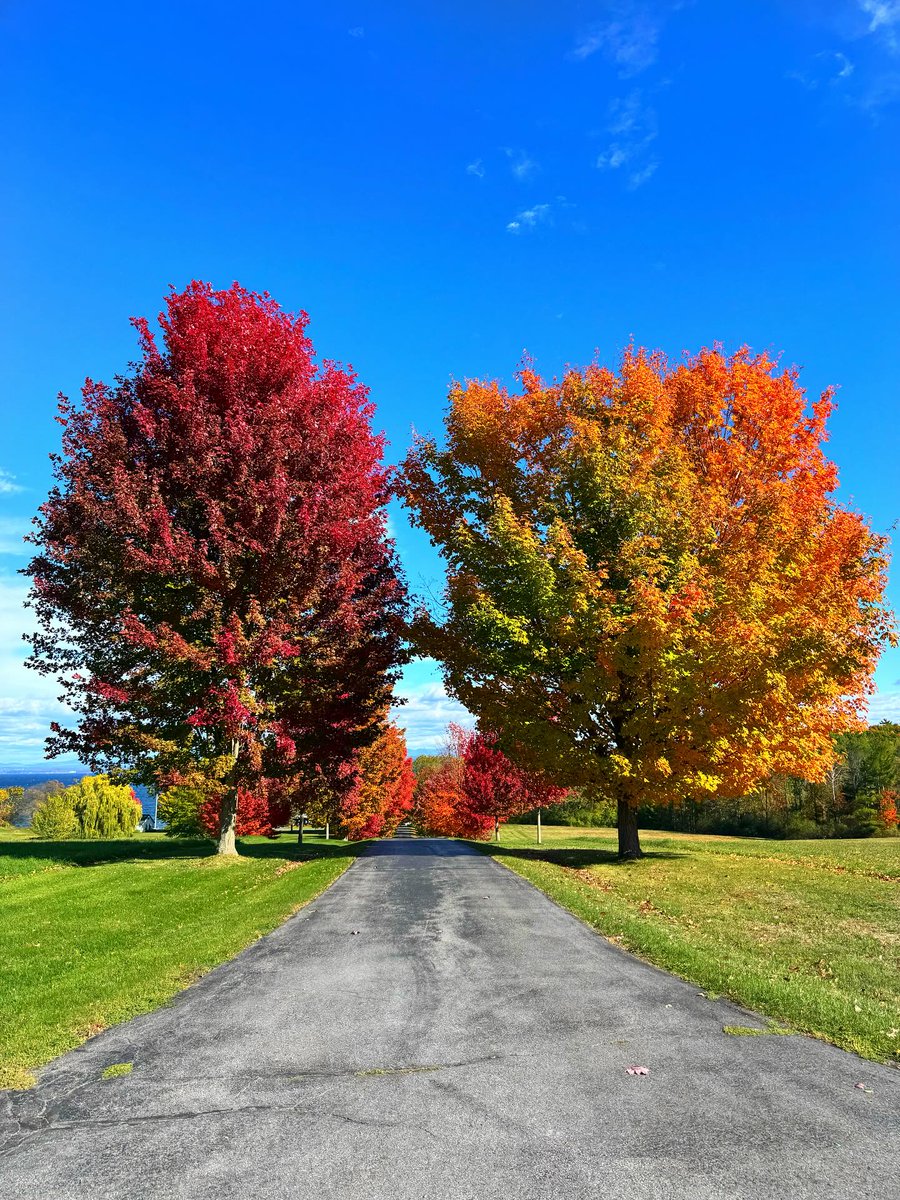 VisitAdks's tweet photo. The fall colors of Lake Champlain speak for themselves, showcasing its beauty in every season. 🍂

📍 Lake Champlain, NY @lakechamplainadk
📷  @rebeccaannvandemark

https://t.co/6HQJGrlU9Q https://t.co/UyyEZHXZvp