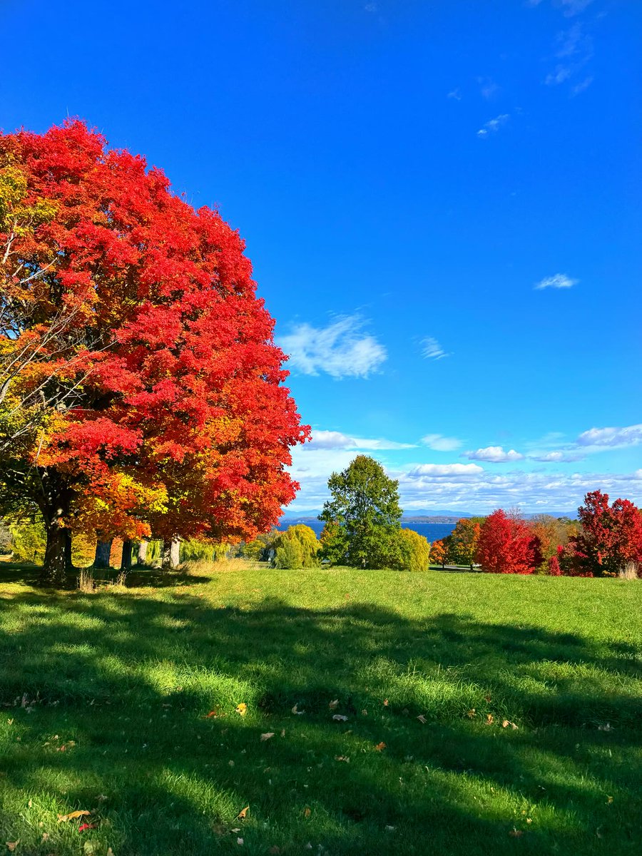 VisitAdks's tweet photo. The fall colors of Lake Champlain speak for themselves, showcasing its beauty in every season. 🍂

📍 Lake Champlain, NY @lakechamplainadk
📷  @rebeccaannvandemark

https://t.co/6HQJGrlU9Q https://t.co/UyyEZHXZvp