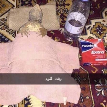 uuuoiee's tweet photo. انتبهوا لنفسكم يامتابعيني ال٧ استودعتكم الله يارب ما اصحى واحصلكم ناقصين ، وقت النوووم https://t.co/jw3CeMHrgV