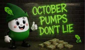 PumptoberRBH's tweet photo. October came with a mission. 🟩

Stack patiently.
Let the green candles do the talking. https://t.co/e6vEqEEL22