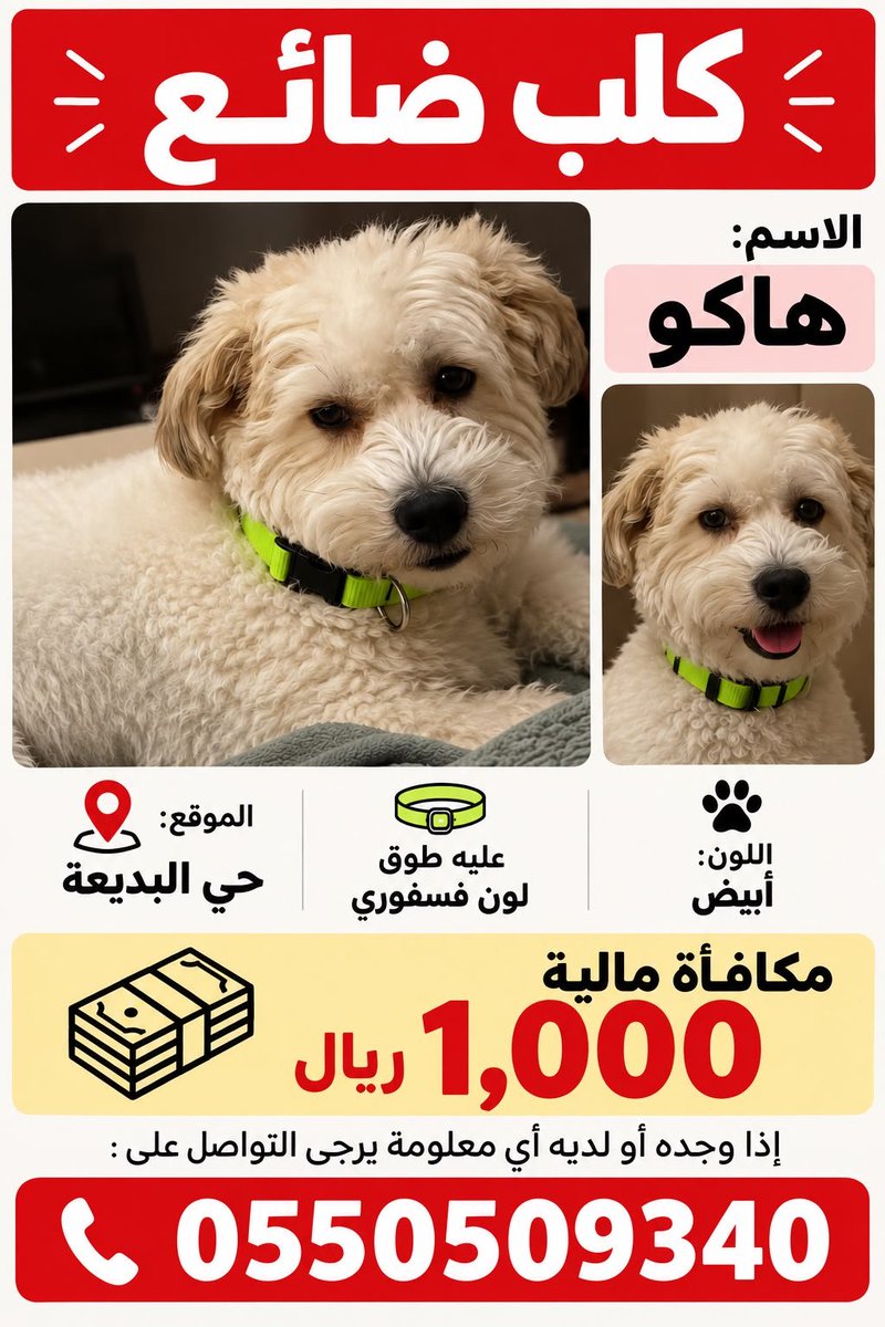 Animal_rescue0's tweet photo. #مفقود #الرياض https://t.co/3eUFkUdLG1
