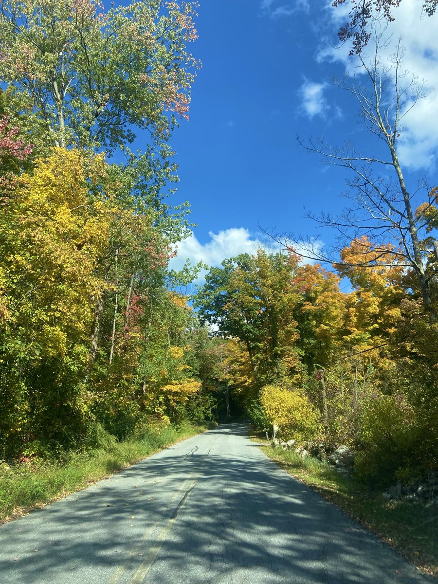 rangersgirl527's tweet photo. I love New York. On Wednesday night I was in the Bronx watching the Yanks sweep Boston in their wild card series and today I am driving country roads in a Yankee tee. Nothing like NY.🍎LET’s Go Yankees!!! #Repbx https://t.co/iywEQ5FnsL