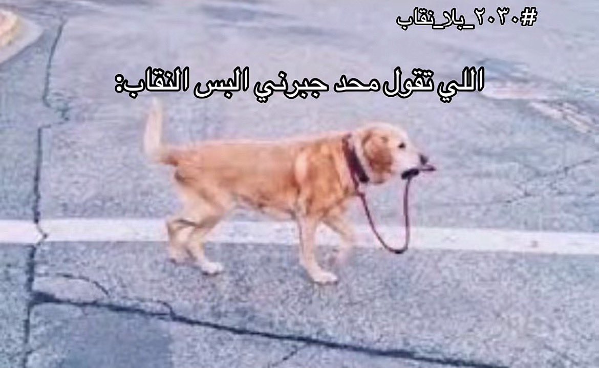 mari1a_'s tweet photo. @2hiix_ @iits7mmd صورتك https://t.co/JVlRrQKmqo