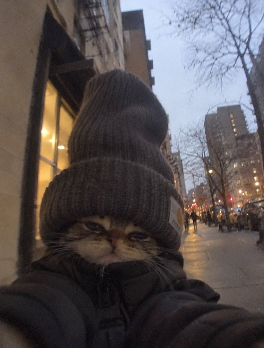 catflixseries's tweet photo. Sad https://t.co/djNu9mc6YV