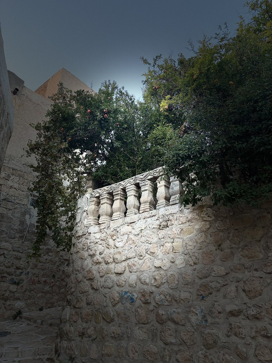 laylaaydn11's tweet photo. Mardin’in taş sokaklarında sonbahar..🍂 🍃🍁 https://t.co/AATlSQ2gop