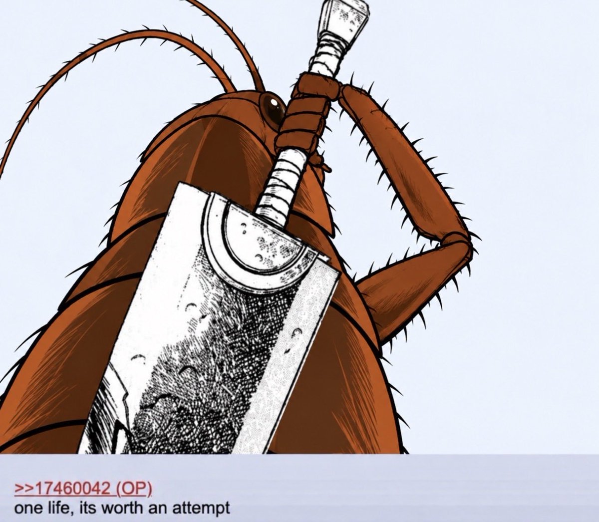 Source media 1 from @loopierr