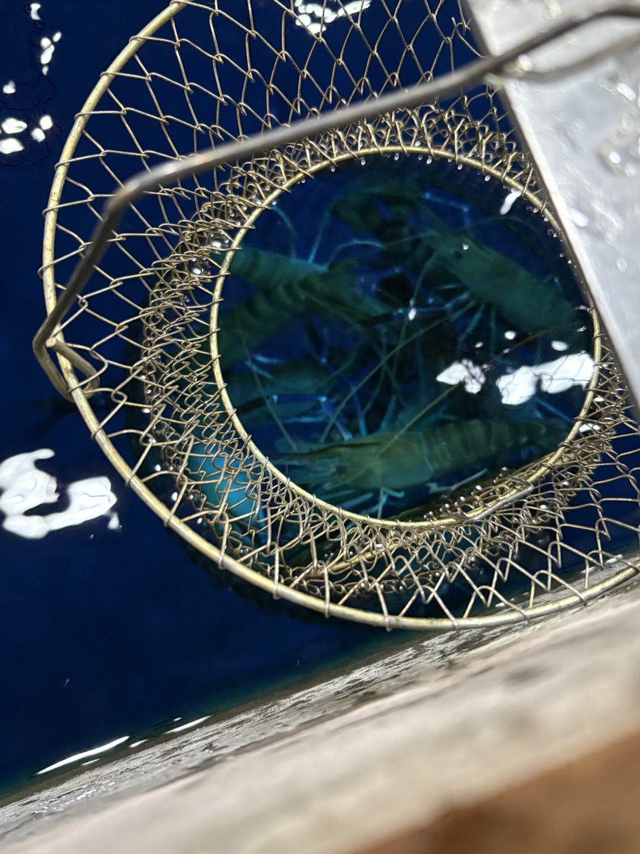 St_a8r tweet picture