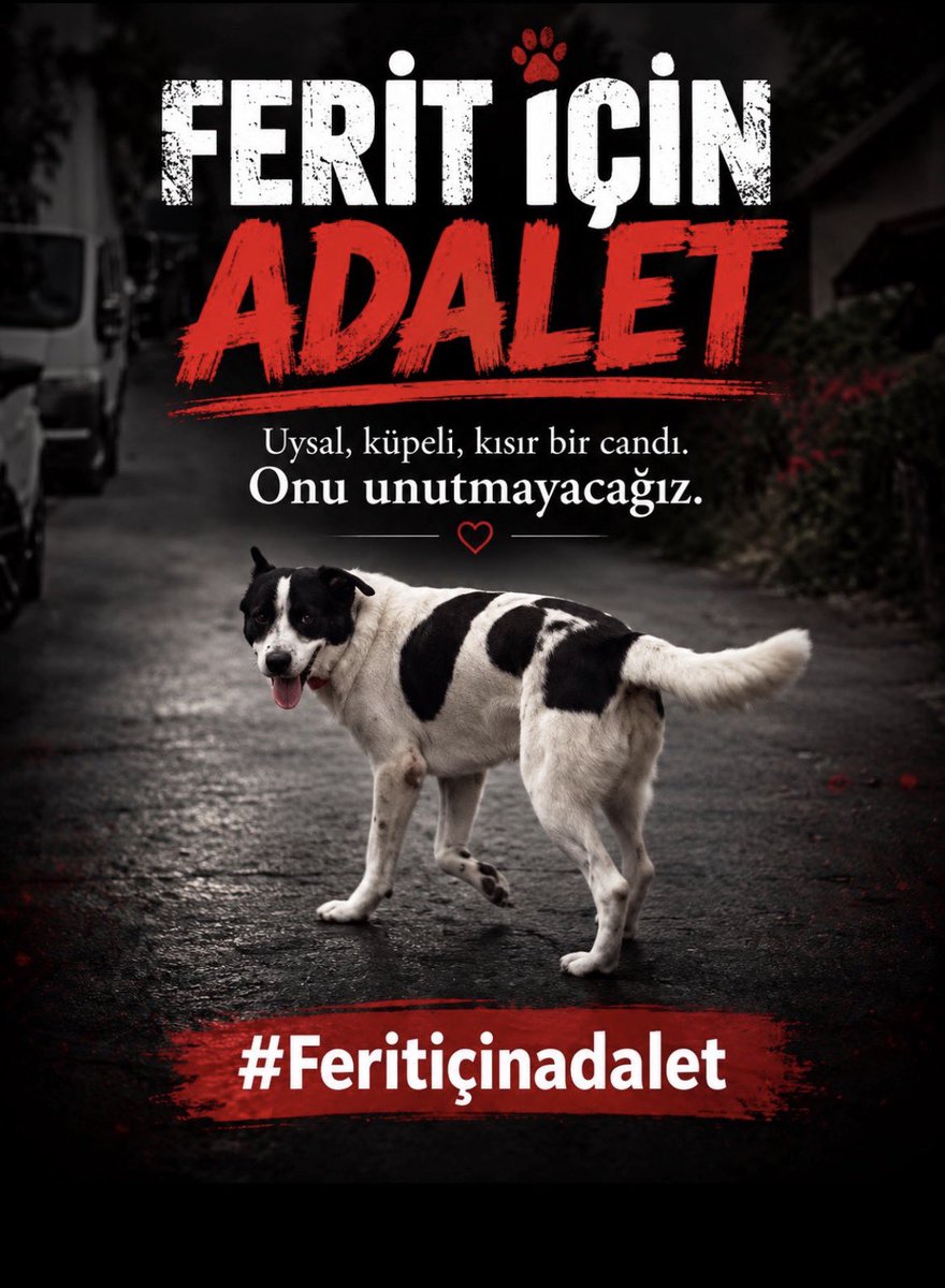 TenzilePars's tweet photo. Hayvanlara biçtiğiniz kader kaderiniz olsun.

#4EkimiKutlamıyoruz 
#Feritiçinadalet https://t.co/XyFbu12wDd