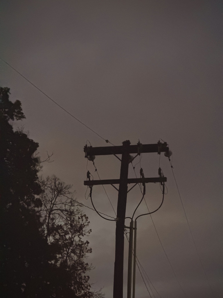 aidenanderson's tweet photo. Nightwalker. https://t.co/muurEr8t9r