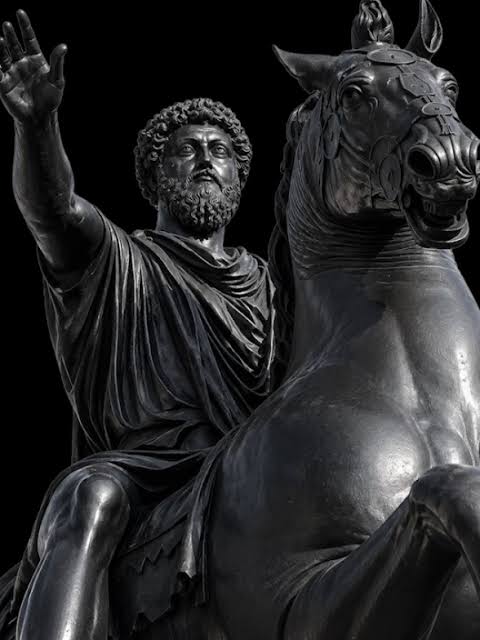 HistoryDailyyy's tweet photo. "Your emotions are servants not masters. Keep them in line."  

*- Marcus Aurelius