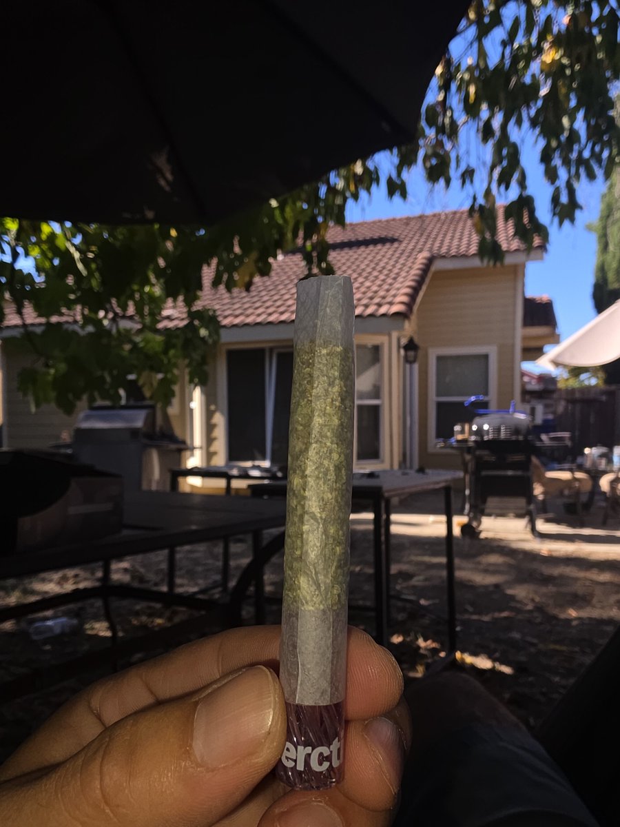ChriZ707's tweet photo. @Swift_Pilot @cali_blaise @CaliBlaiseWave Thats what just got sparked up 🔥 https://t.co/XH2jhu8gR1
