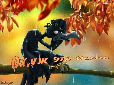 gera__gerochka's tweet photo. А за окном осень...🍁

На ветке ворон мокнет одиноко,
В глазах застыл немой вопрос к судьбе.
Ну почему погода так жестока?
Сидела б дома в кресле и тепле...
Ох, уж эта осень! 🍂🌧️ https://t.co/N3Klbrtrem