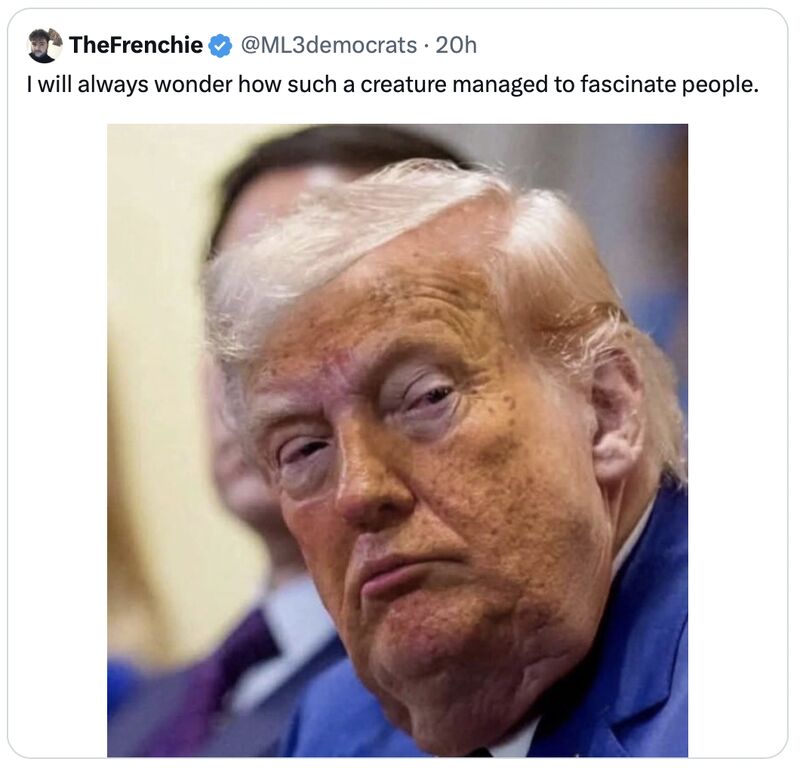 ALCOMLW's tweet photo. @MiaBryant374659 This Orange Clown ain't my President!  😝
I #VOTEBLUE https://t.co/ZDdhaL4L1j