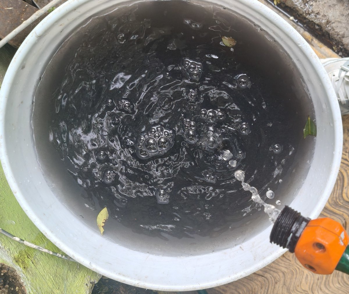 monimikis27's tweet photo. 🚨 ¡INACEPTABLE! Así llega el agua en la colonia #BlancoyCuéllar : negra, sucia y con olor a caño.

Pagamos por agua potable y recibimos esto. ¡Necesitamos una solución YA! Es un tema de salud pública. @siapagdl @Trafico_ZMG @PabloLemusN @TelevisaGDL https://t.co/FLiEapMh16