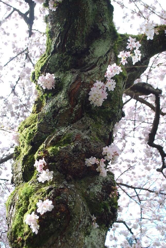 aestheticpost tweet picture