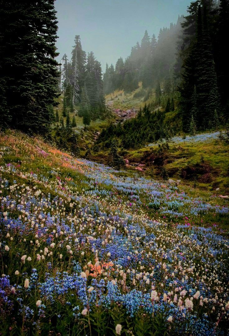 aestheticpost's tweet photo. https://t.co/X8dkM7UJxT