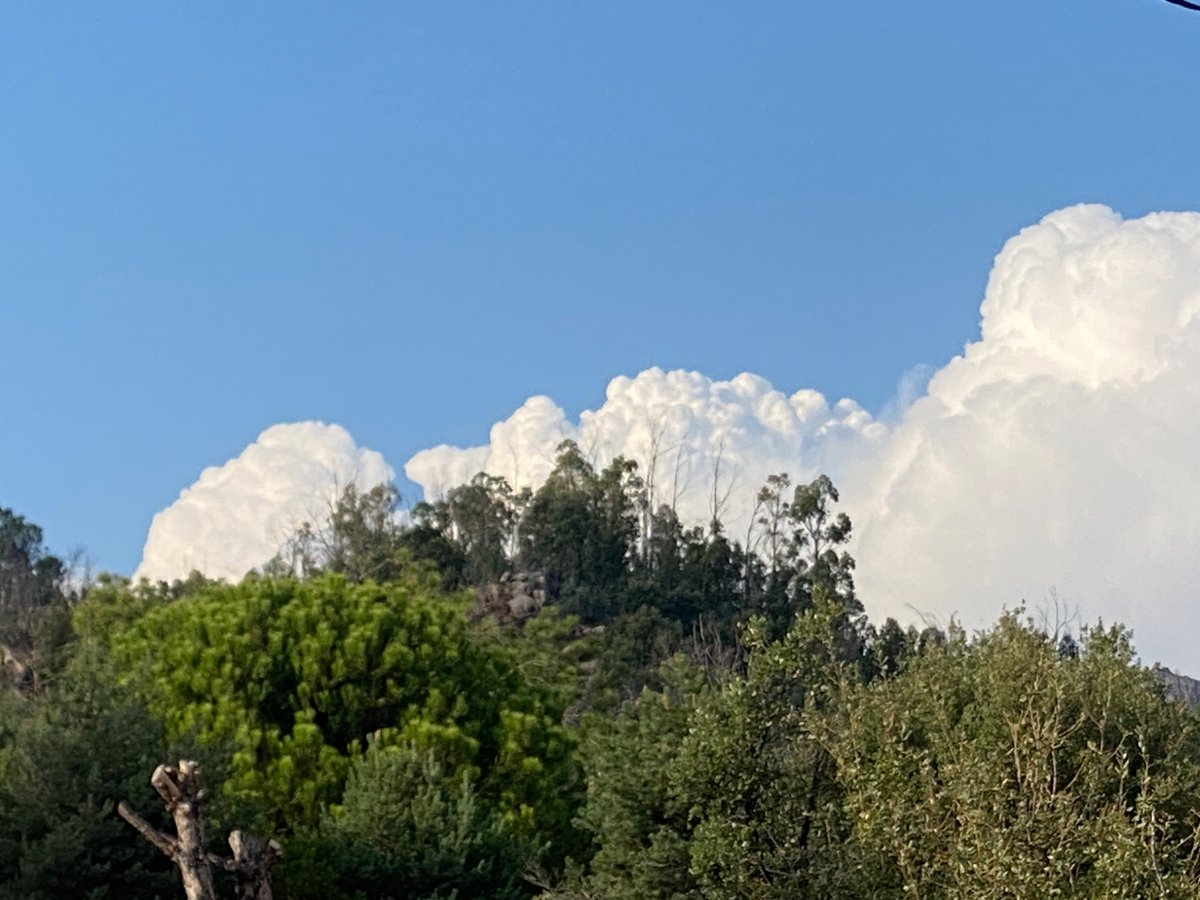 hexgeta's tweet photo. @WX_Advisory https://t.co/xk5Mr9yleJ
