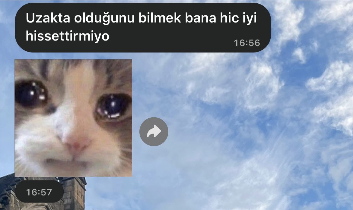 selinezya's tweet photo. bu hafta aldığım bazı tatlı mesajlar pt1 ✍🏻 https://t.co/Us3Q0ieuql