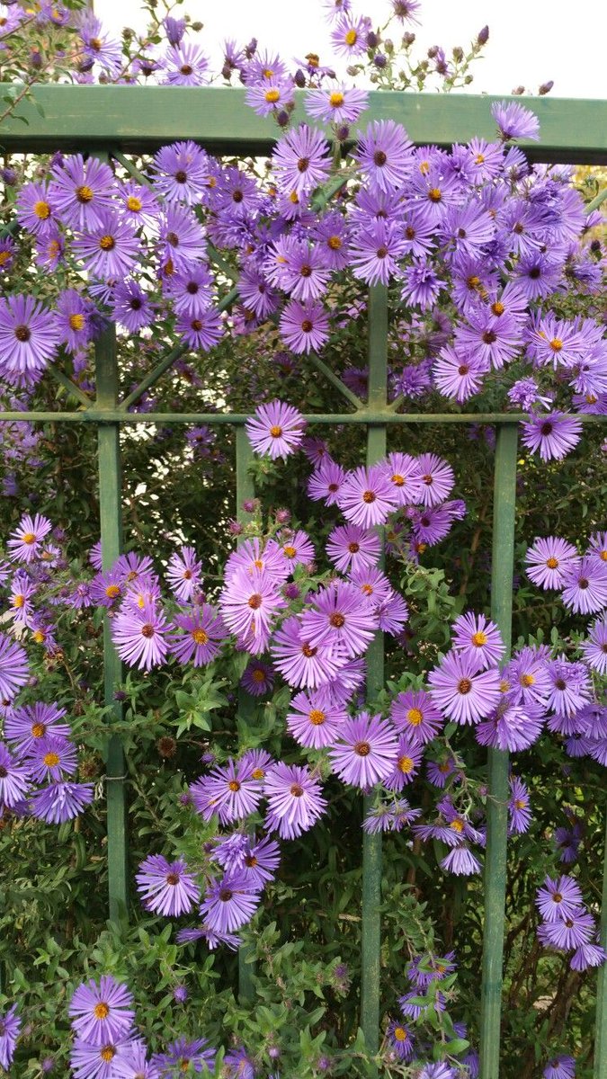 aestheticpost's tweet photo. https://t.co/jjAaji08m7