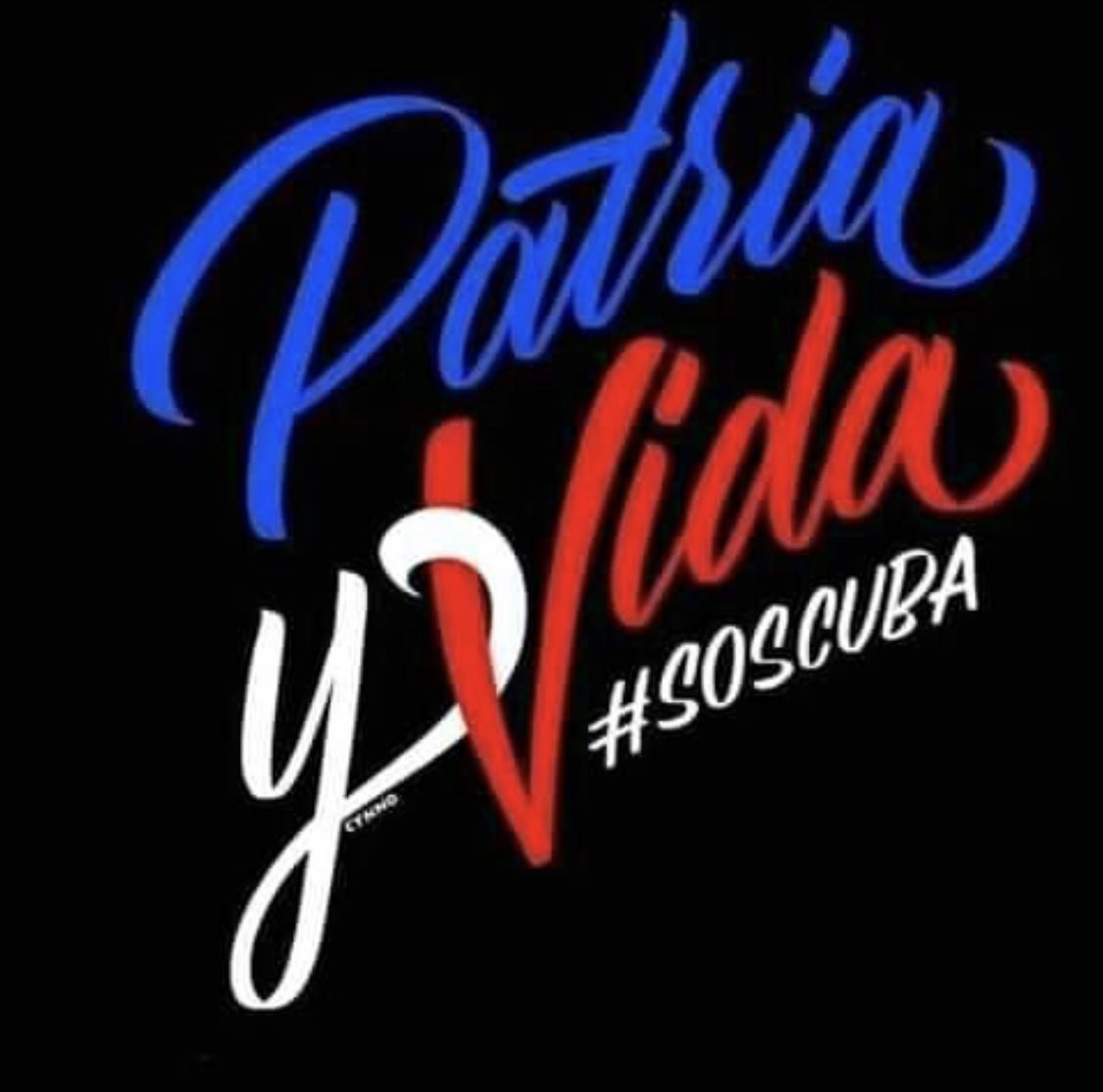 J19C69A's tweet photo. @ESanchezcub Qué beneficioso tu cochina consigna para la mafia de la familia de los Castro cuando el pueblo lo que pide lo que elige es patria y vida y libertad https://t.co/oPxnKoxlxC
