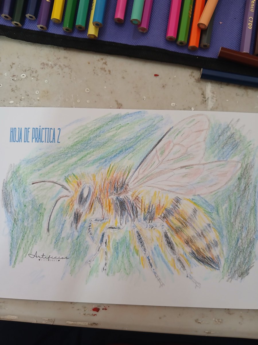 maxi_ultra1's tweet photo. Hoy fui a un curso de dibujo, abeja #art #illustration‌‌ https://t.co/IthFQErgQZ