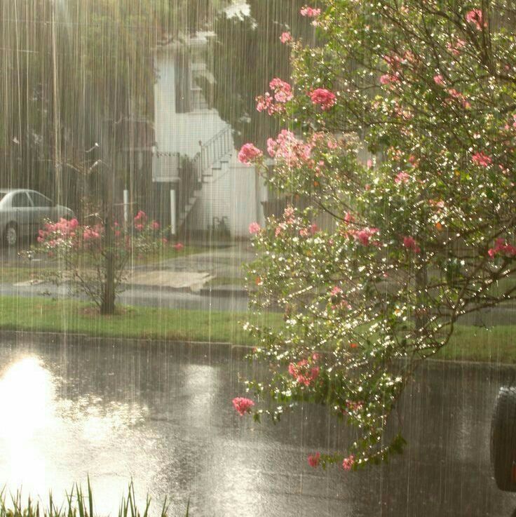aestheticpost's tweet photo. https://t.co/K55vB1726b