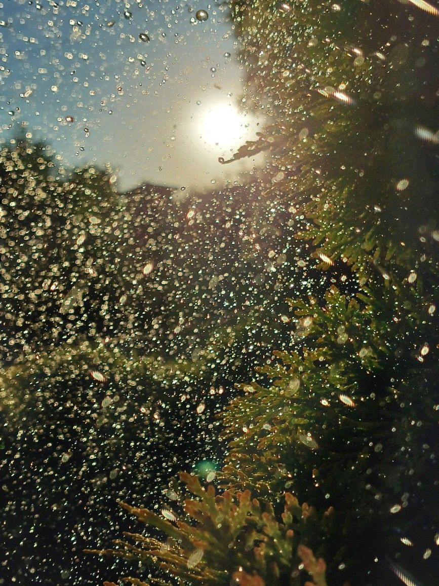 aestheticpost's tweet photo. https://t.co/K55vB1726b