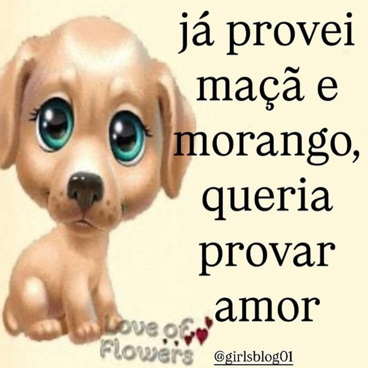 inapaixonavel's tweet photo. https://t.co/LCGZmHrYPB