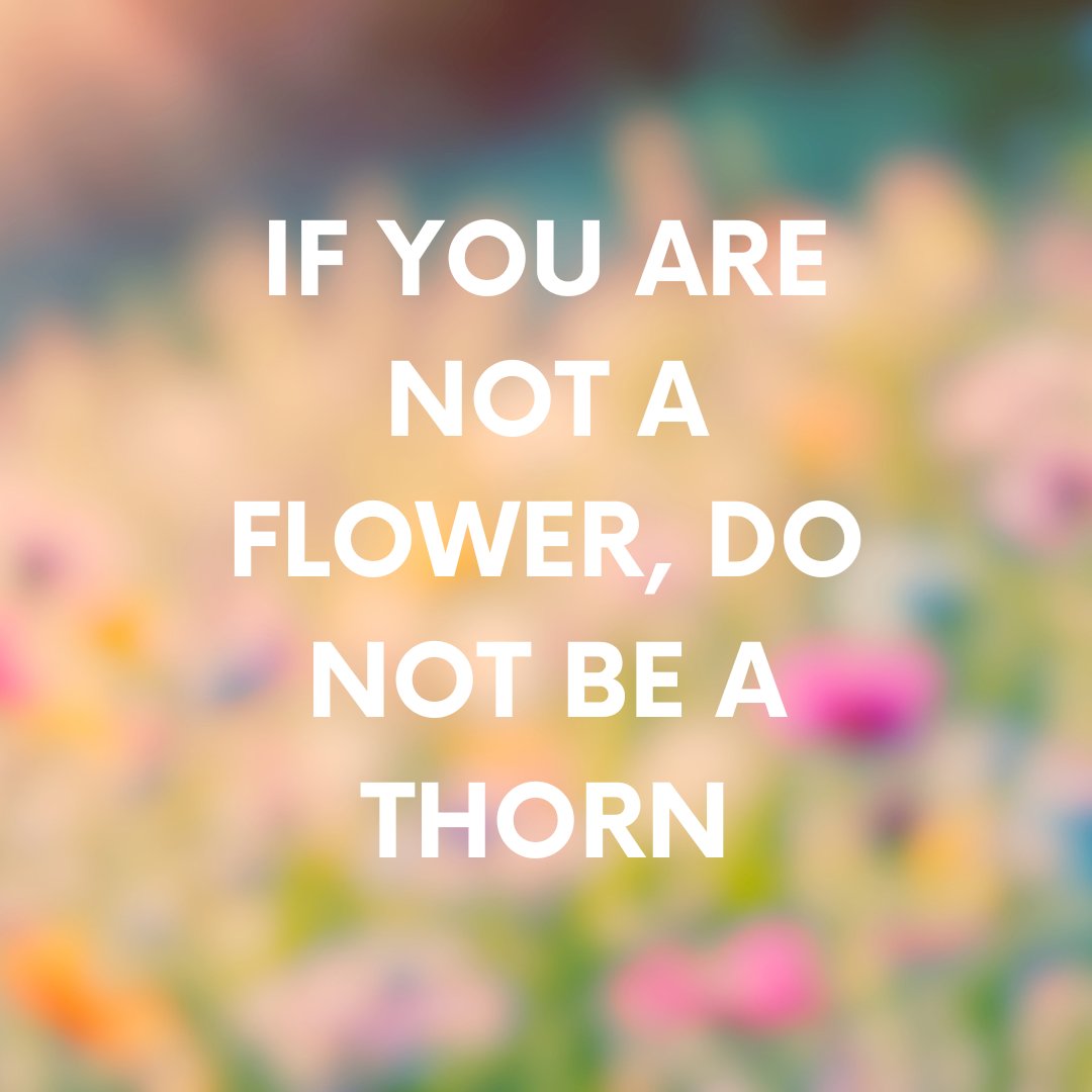 amelproject's tweet photo. #Weekend #wisdom #inspiration https://t.co/Bb4tRriKXE