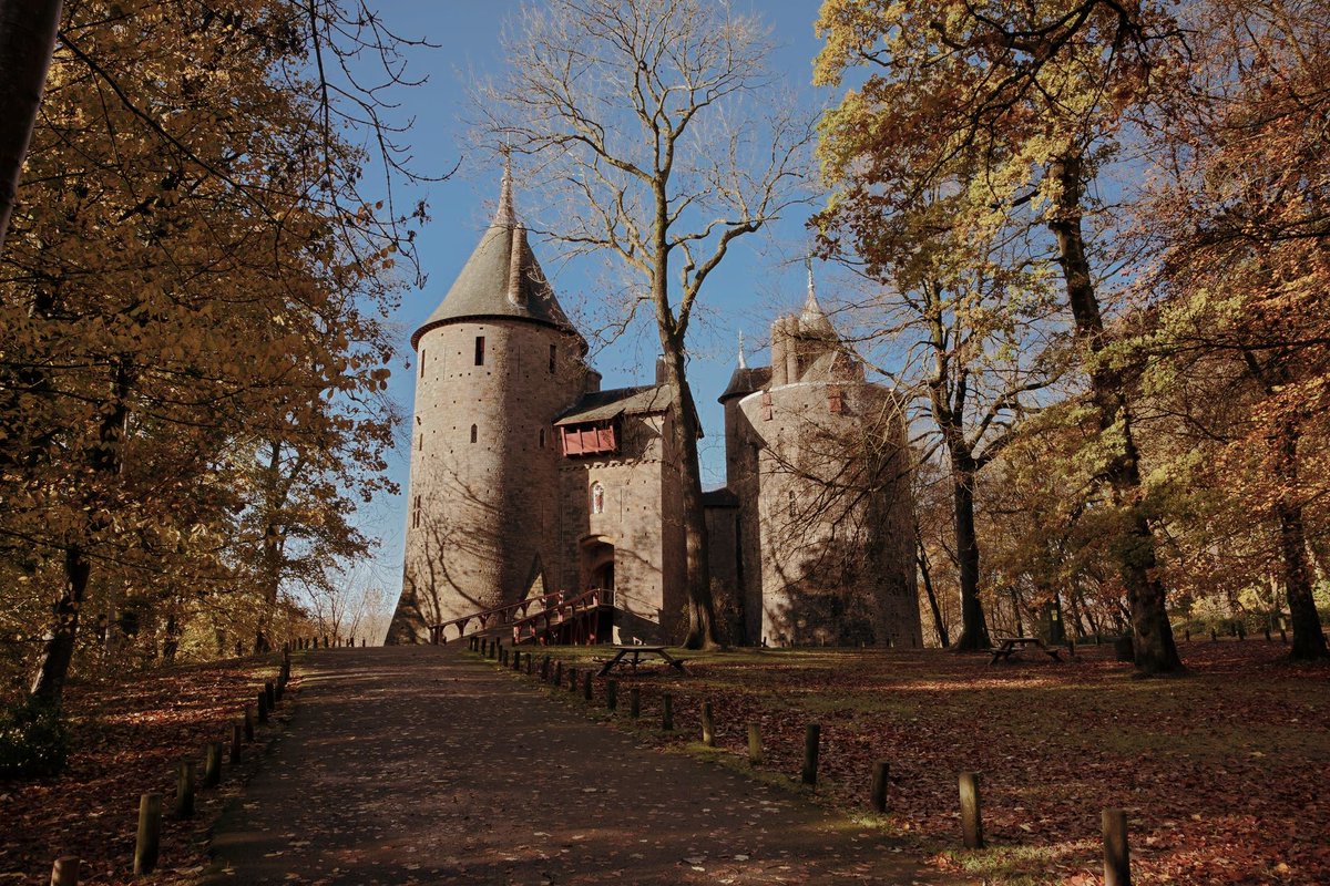 cadwwales tweet picture