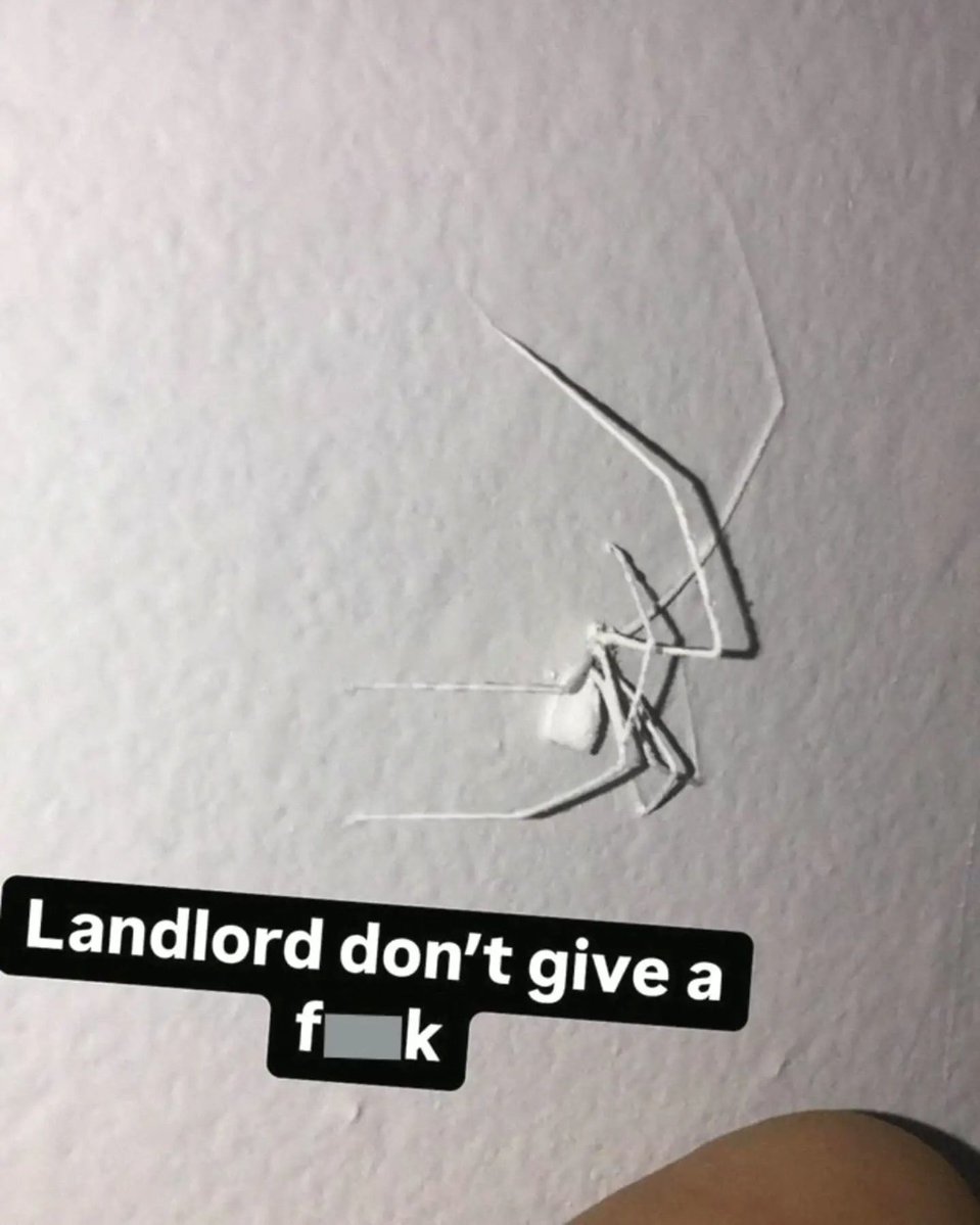 tragicbirdapp's tweet photo. https://t.co/2DLk3x786R
