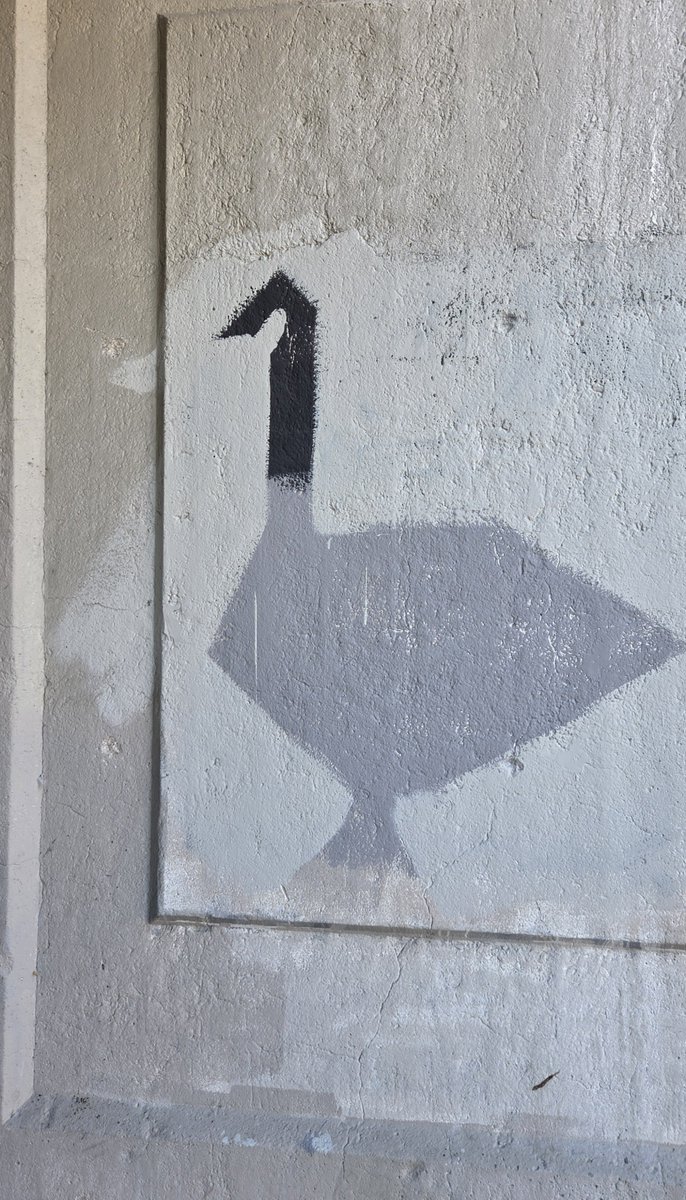 EmeraldImperial's tweet photo. canadian graffiti https://t.co/TWtHd1WQbQ