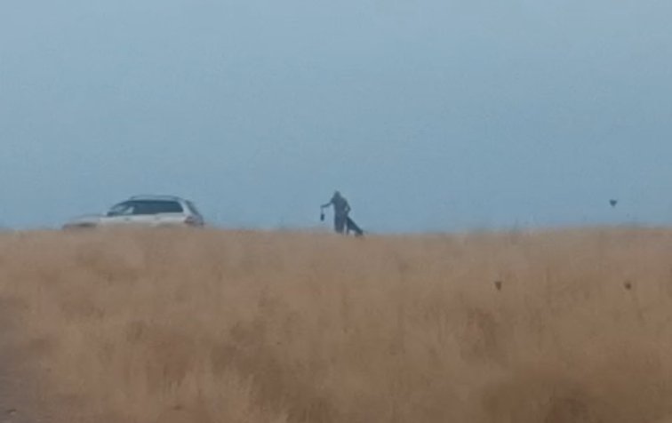 joel27799310's tweet photo. Eso que lleva ese hijo de la gran puta es una perdiz viva a la que le ha cortado las alas para entrenar al perro. Una práctica normal entre los cazadores. Esta es #LaVerdadDeLaCaza; una de tantas brutalidades típicas del #rural y entre buena parte de esa #gentedecampo idealizada. https://t.co/TaXFqQtwwI